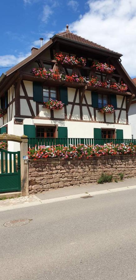 Gite Rural "La Bergerie" Διαμέρισμα Friedolsheim Εξωτερικό φωτογραφία