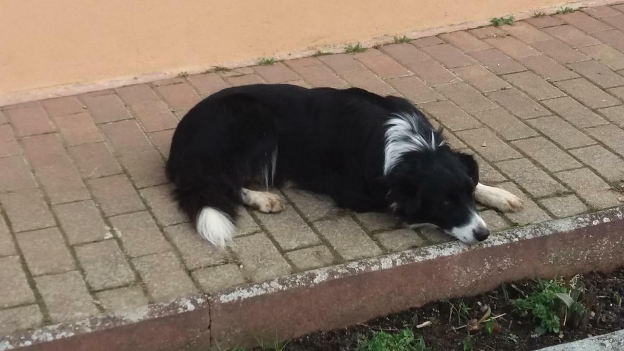 Gite Rural "La Bergerie" Διαμέρισμα Friedolsheim Εξωτερικό φωτογραφία